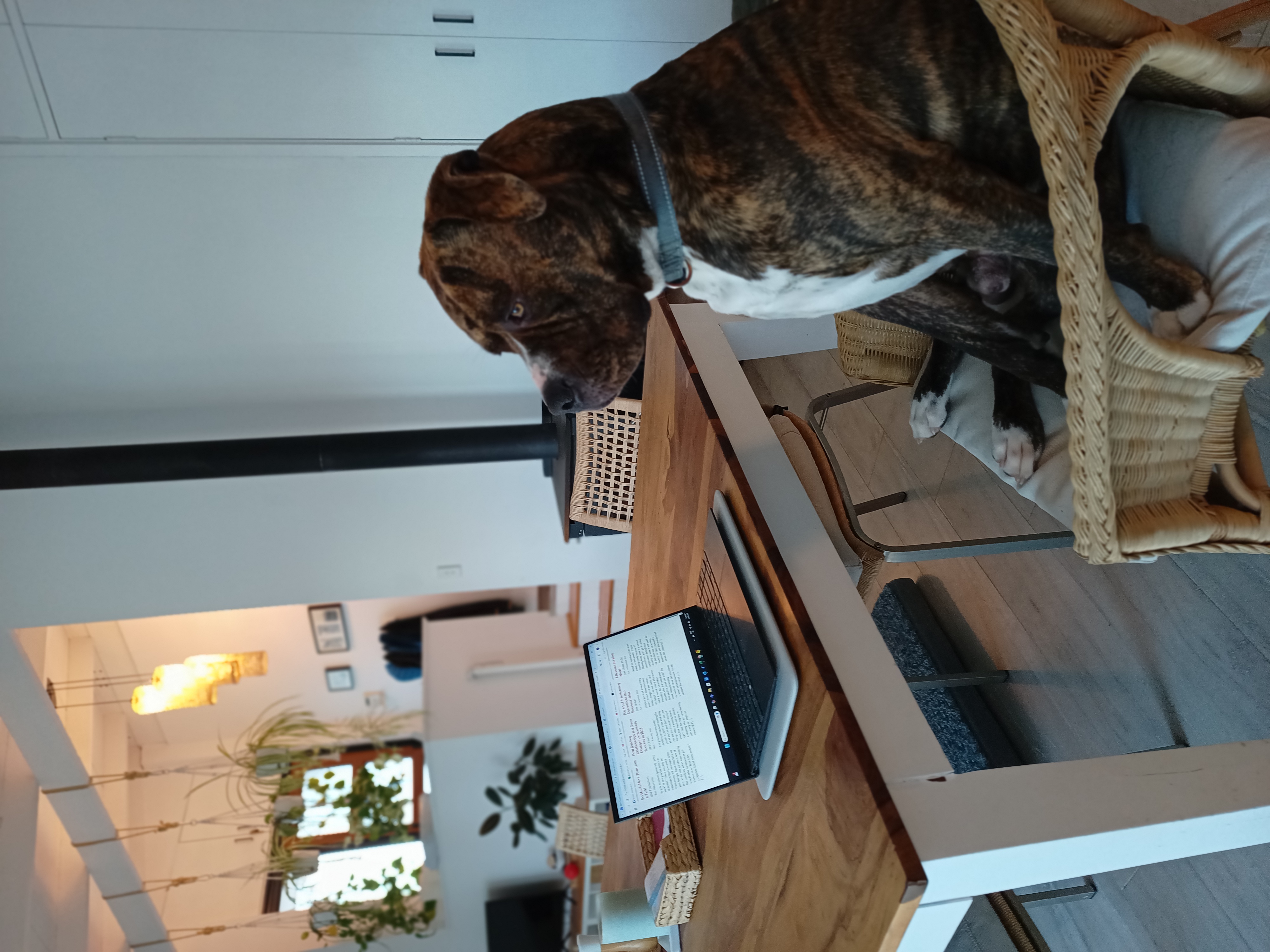 Would You Let Your Dog Write Emails? Why Old School SEO Fails at AI Search
